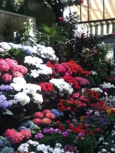 If you want to know what my brain looks like, it looks mostly like this flower market.